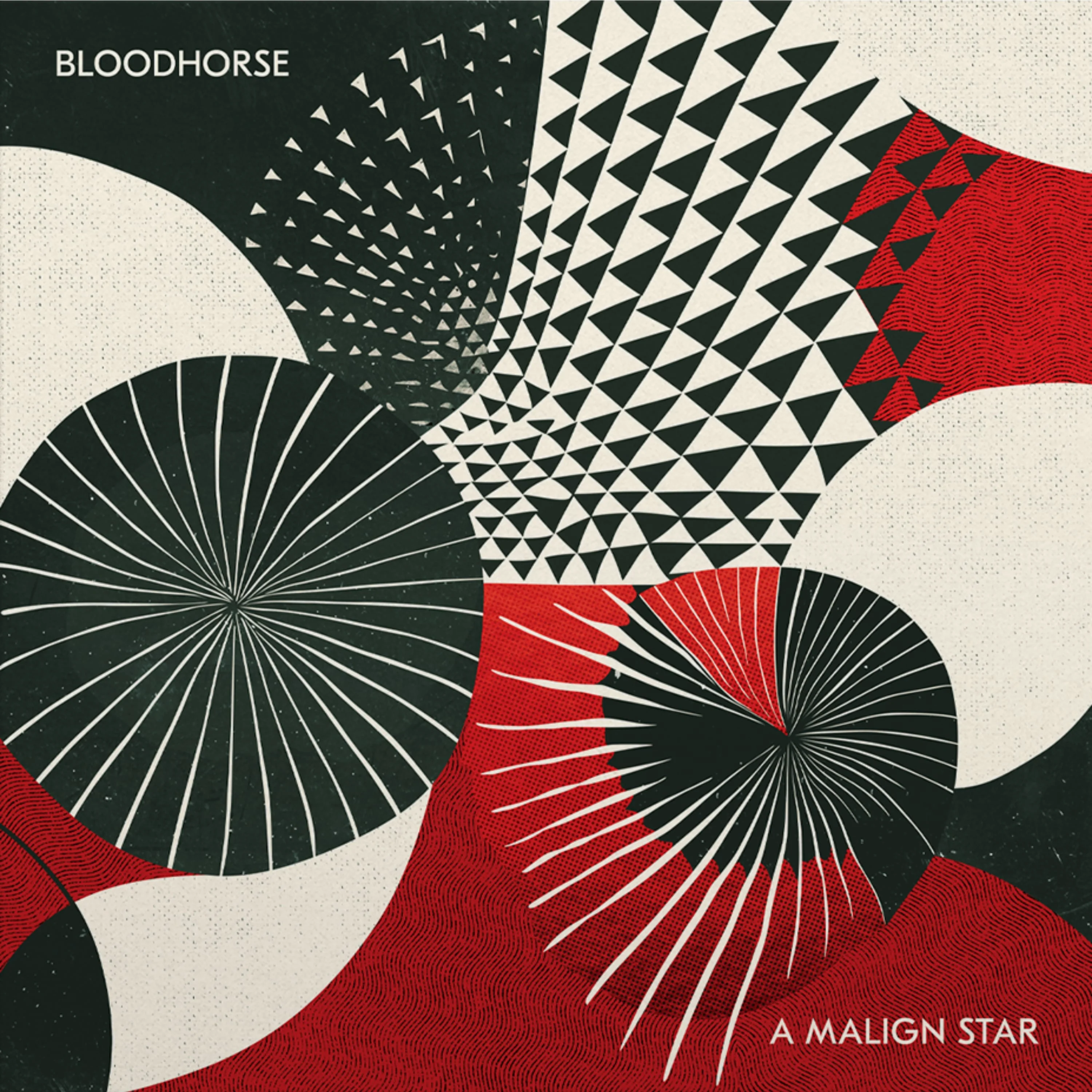 Bloodhorse "A Malign Star"