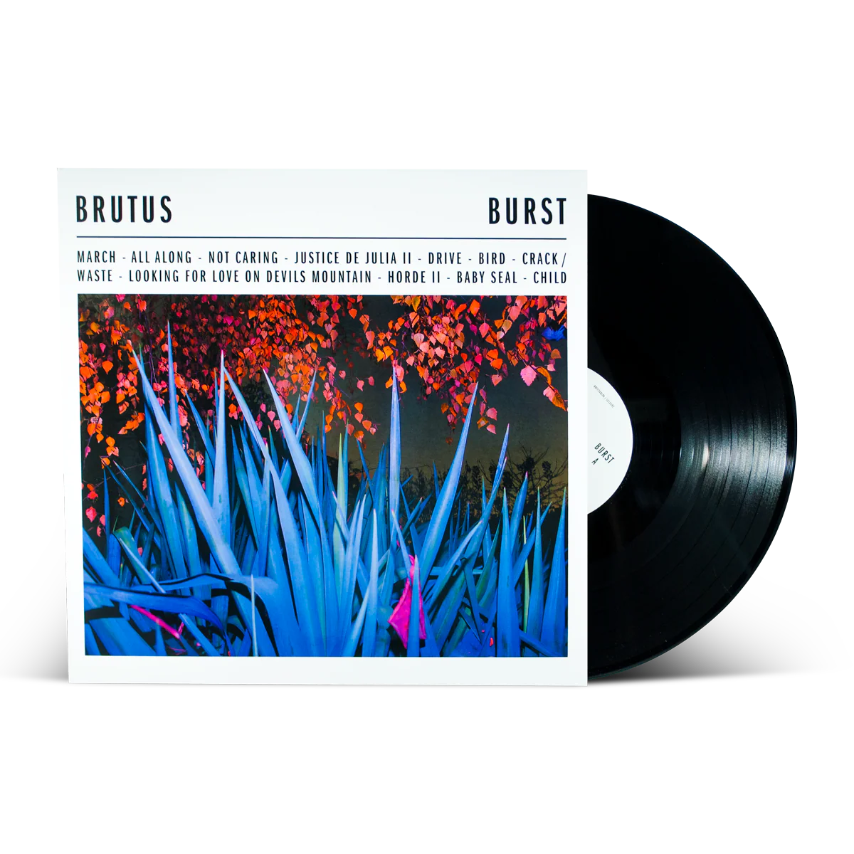 Brutus "Burst" - Image 2
