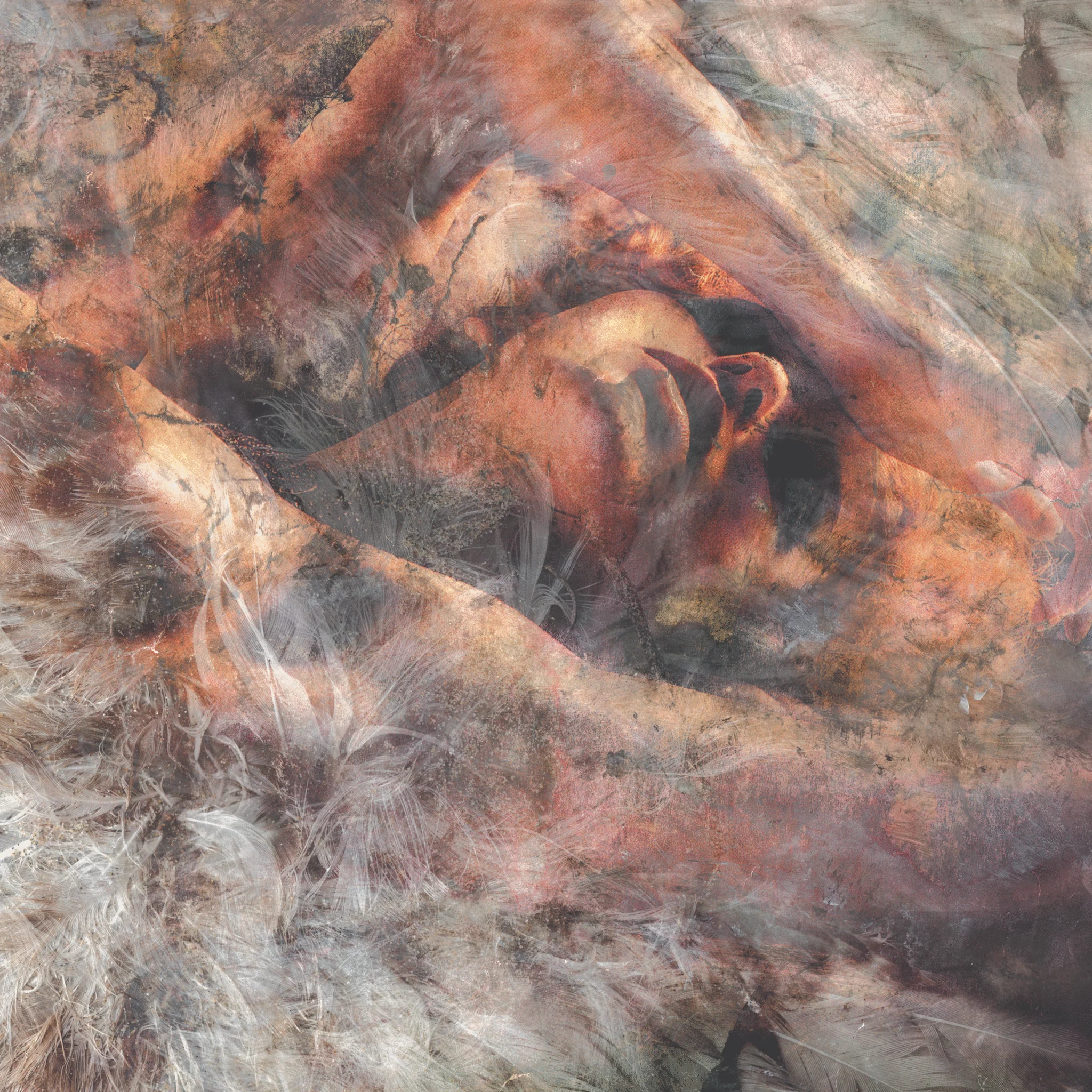 Converge "Unloved And Weeded Out"