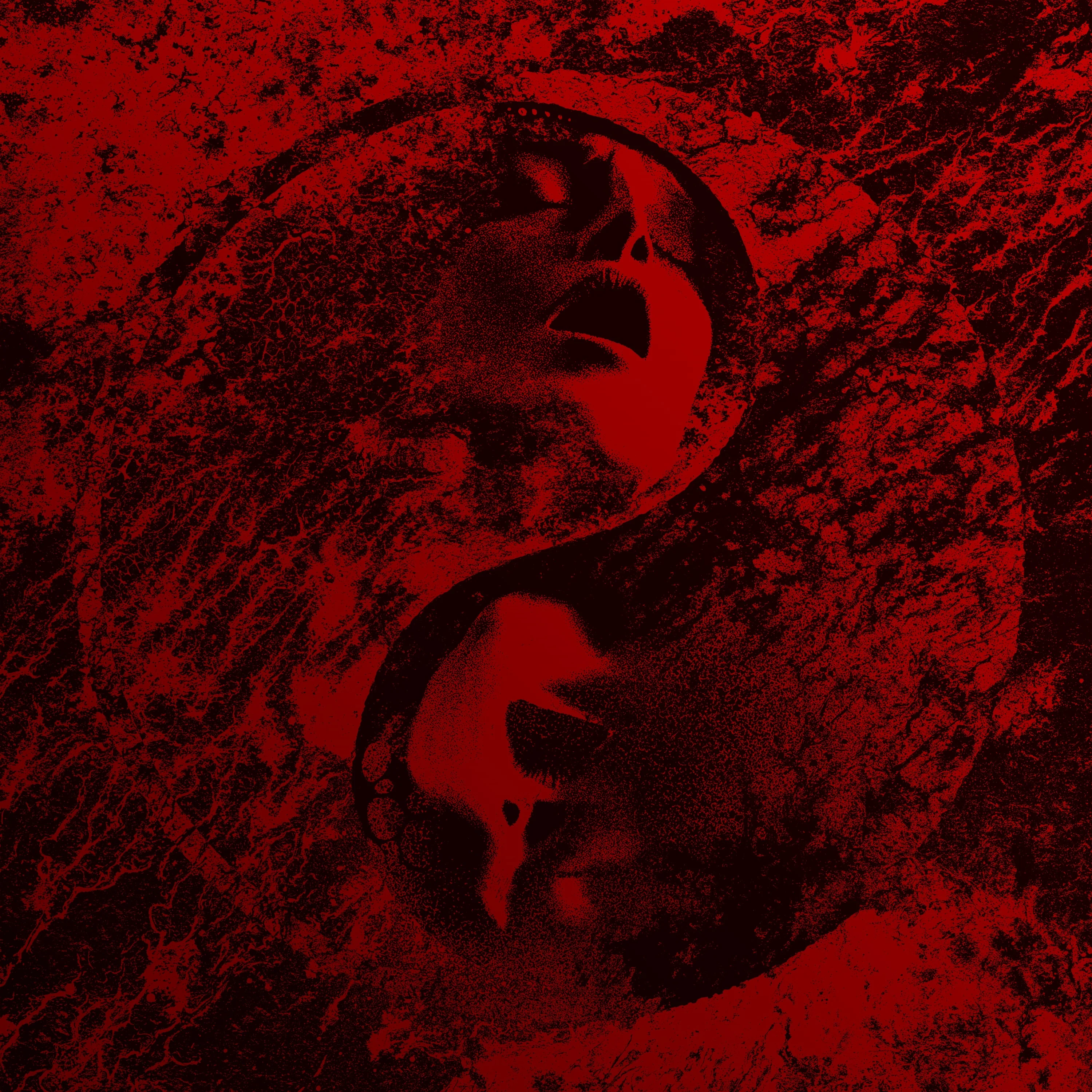 END / Cult Leader "Gather & Mourn" Wholesale Indie Color - Image 2