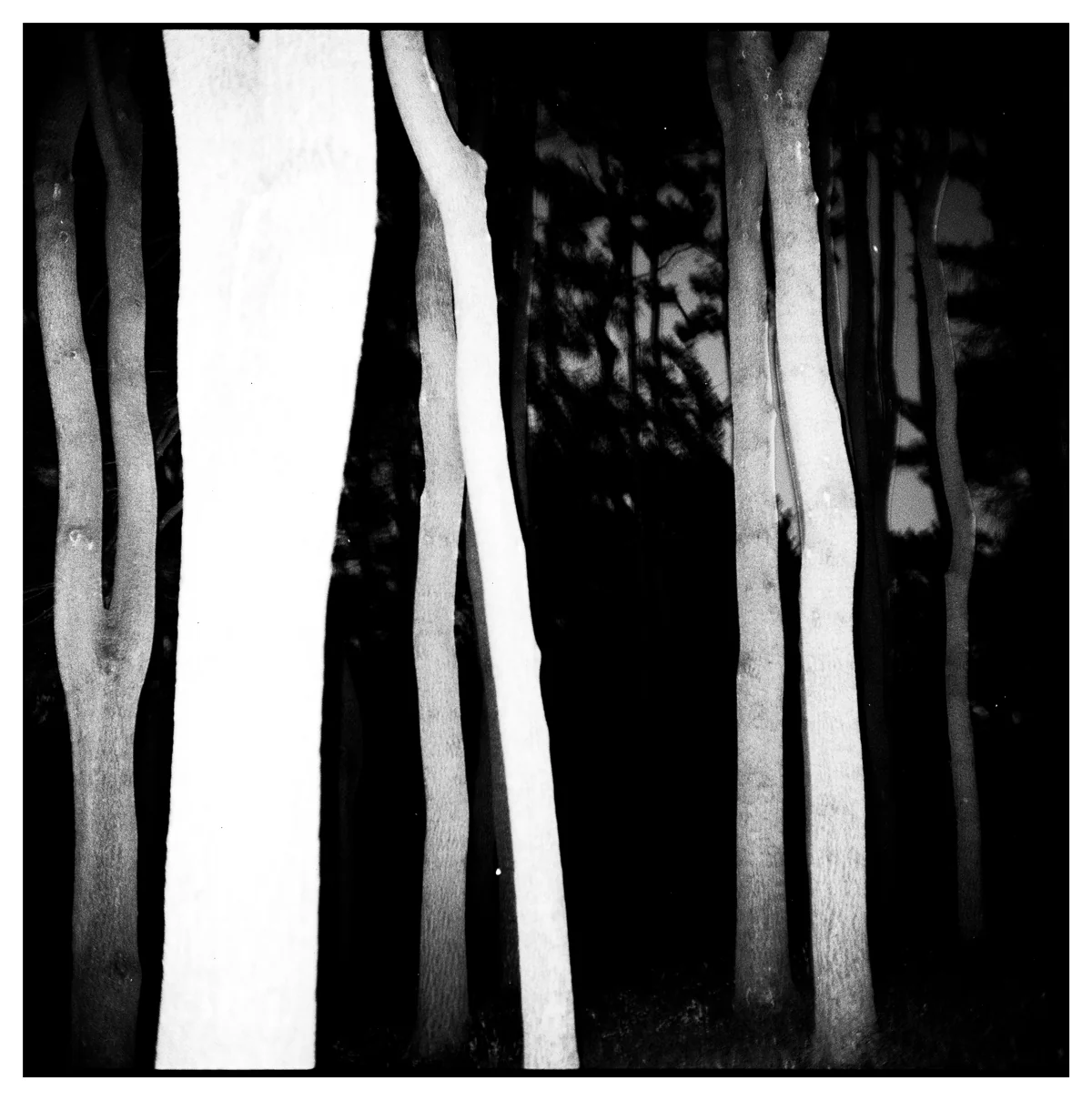 Reid Haithcock "Landscape" Giclee Print - Image 2