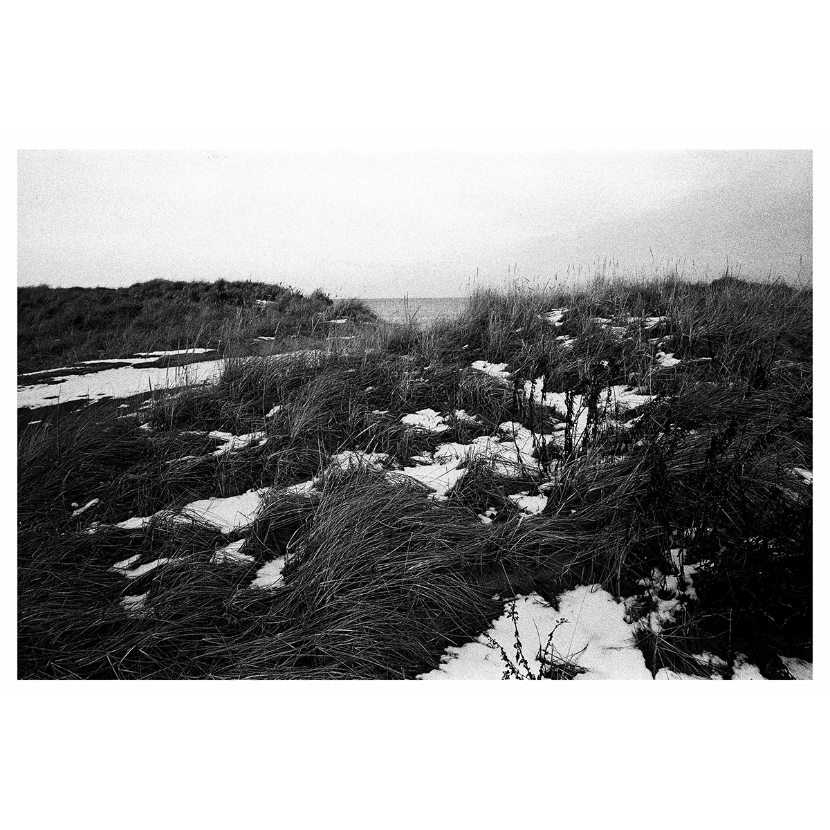 Reid Haithcock "Winter Series: Dunes" Giclee Print - Image 2