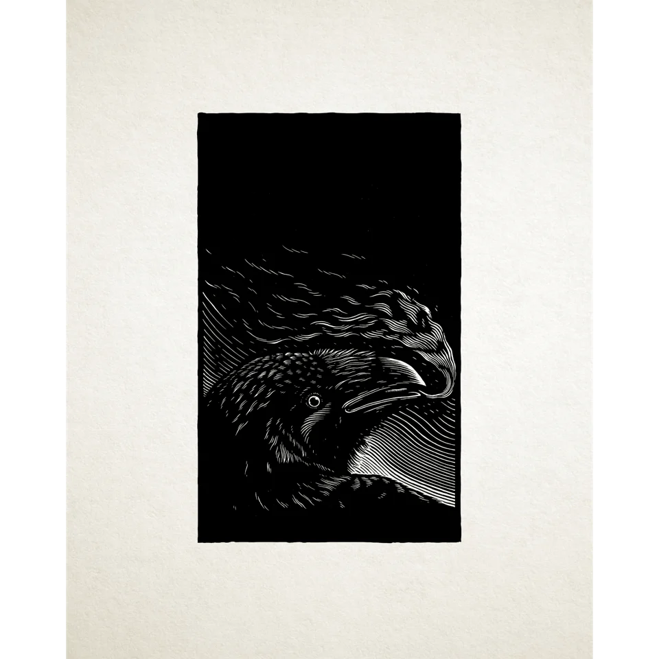 Steve Von Till “No Wilderness Deep Enough” - Image 8