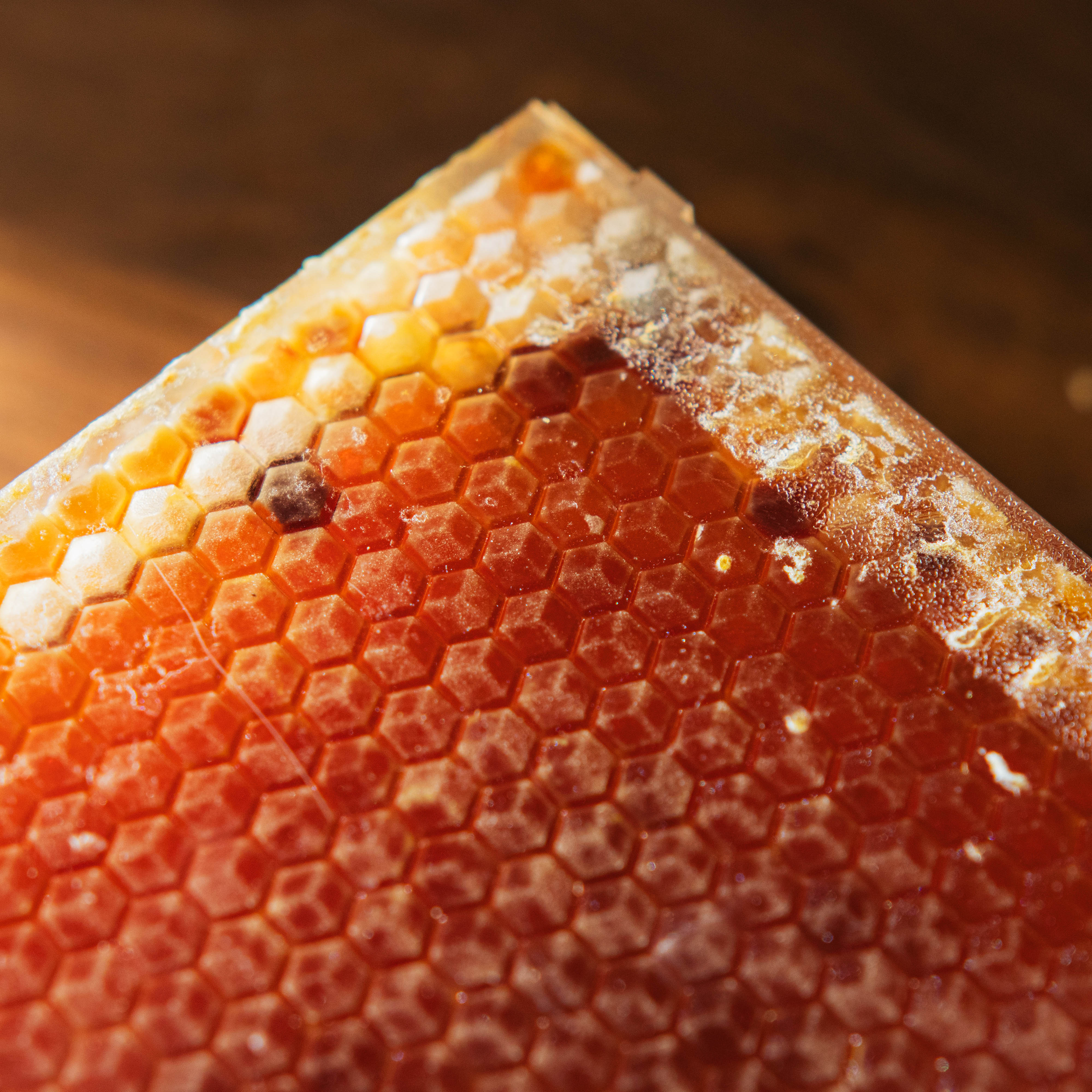 The Martin Hives Honey Co. "Connecticut Honey Comb" - Image 5
